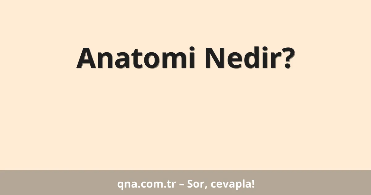 Anatomi Nedir?
