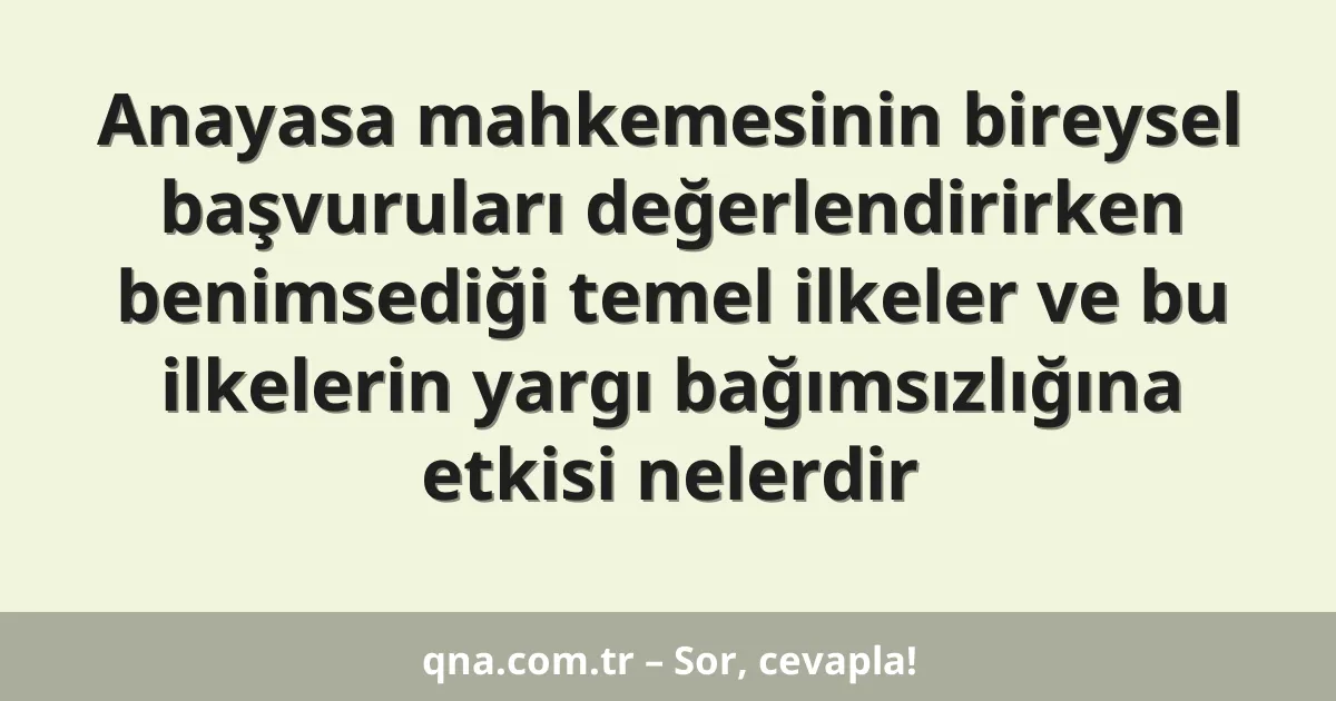 Anayasa mahkemesinin bireysel başvuruları değerlendirirken benimsediği temel ilkeler ve bu ilkelerin yargı bağımsızlığına etkisi nelerdir
