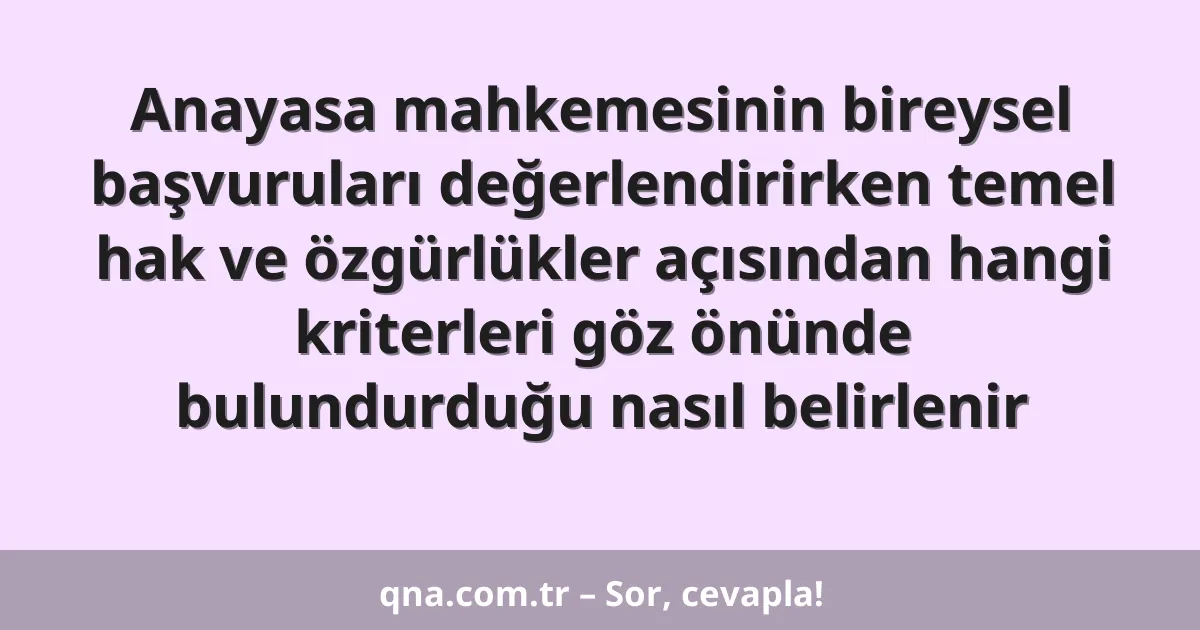 Anayasa mahkemesinin bireysel başvuruları değerlendirirken temel hak ve özgürlükler açısından hangi kriterleri göz önünde bulundurduğu nasıl belirlenir