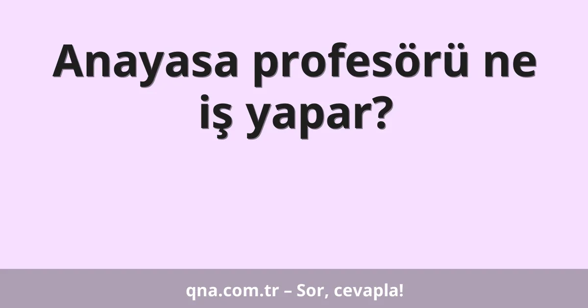 Anayasa profesörü ne iş yapar?