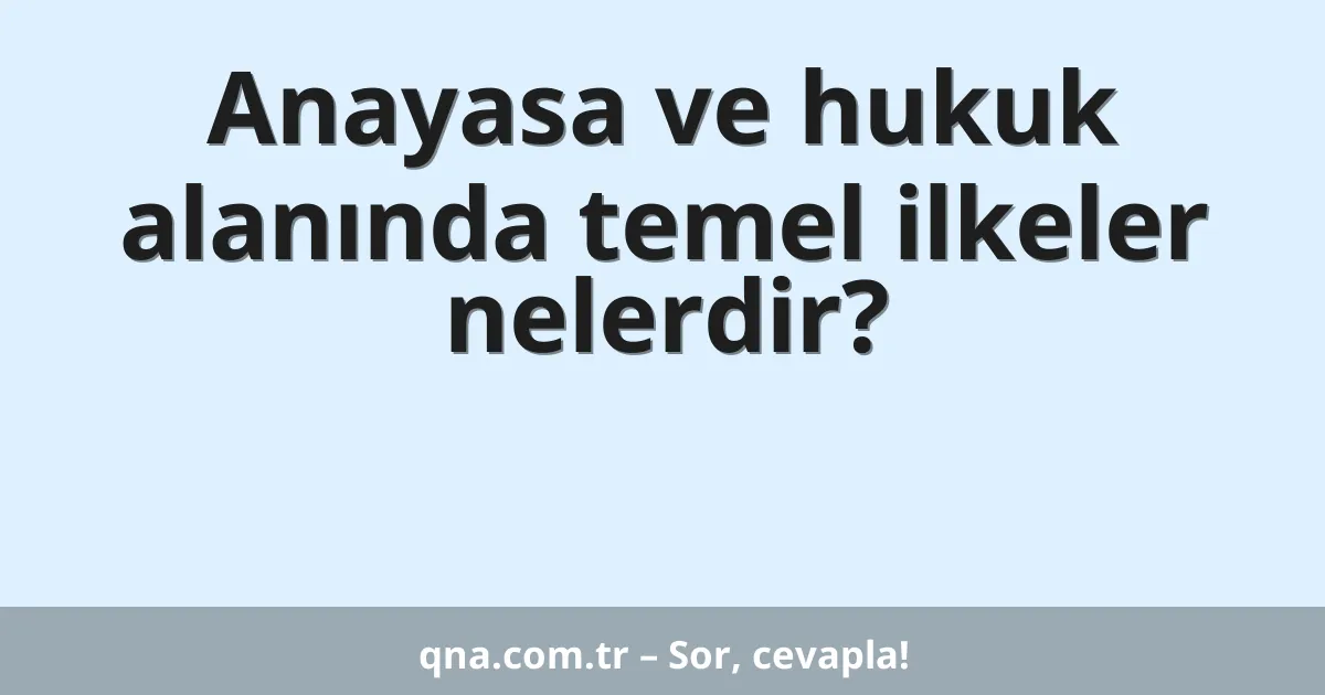 Anayasa ve hukuk alanında temel ilkeler nelerdir?