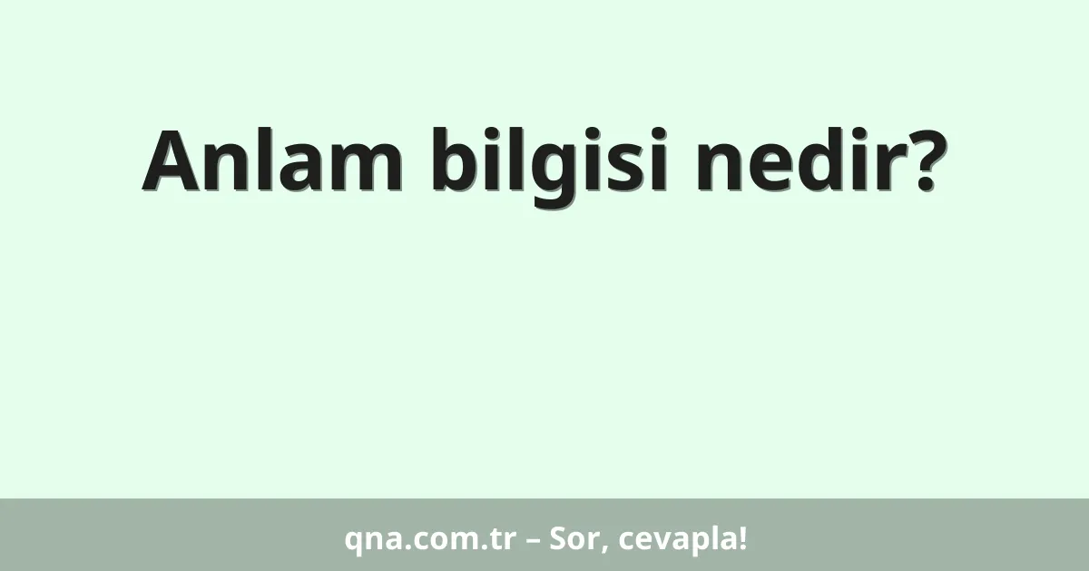 Anlam bilgisi nedir?