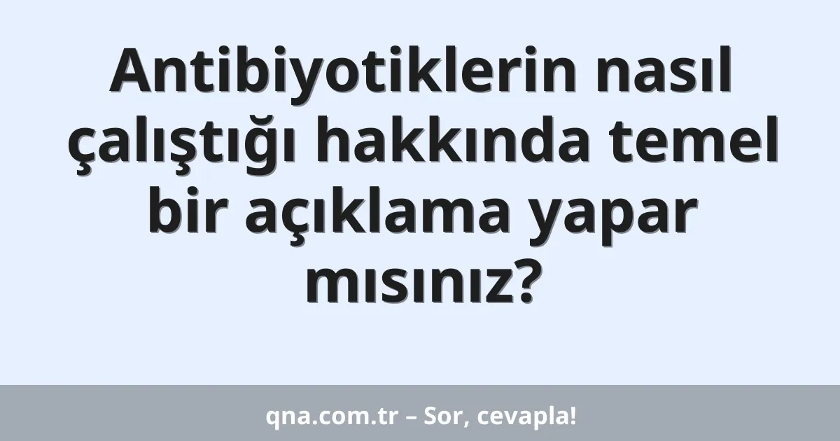 Antibiyotiklerin nasıl çalıştığı hakkında temel bir açıklama yapar mısınız?
