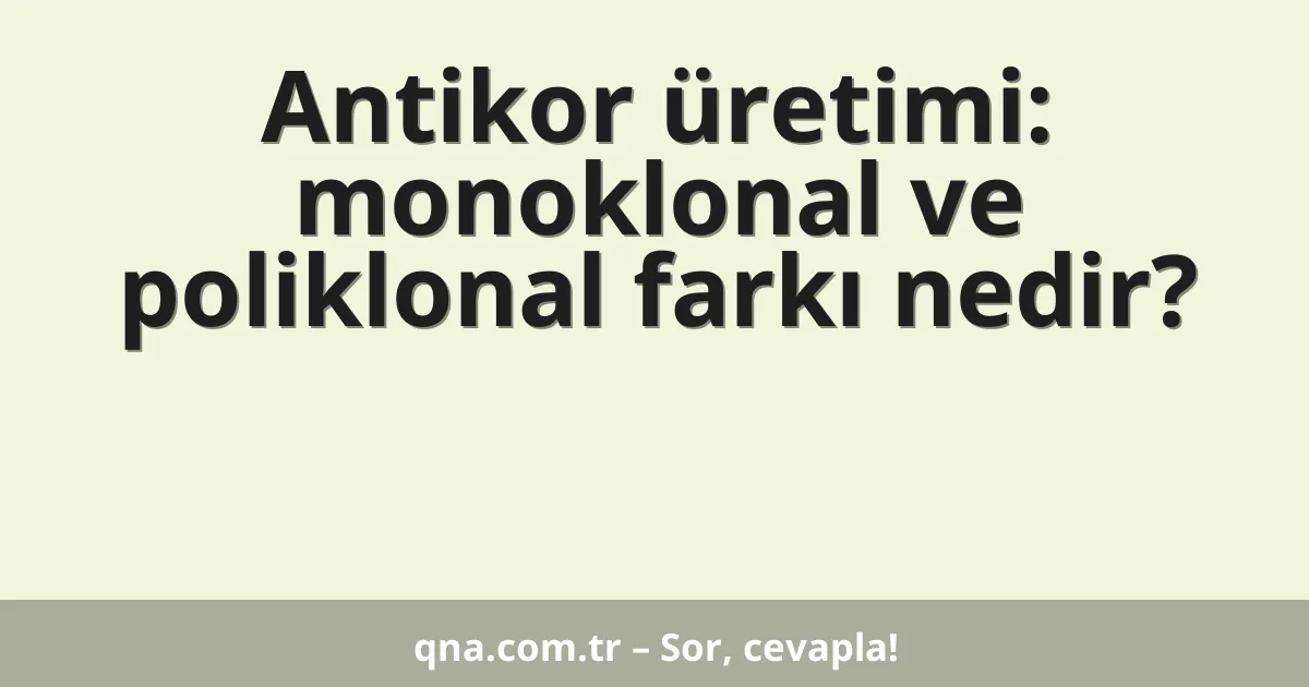 Antikor üretimi: monoklonal ve poliklonal farkı nedir?