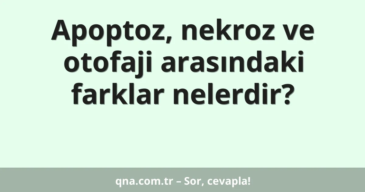 Apoptoz, nekroz ve otofaji arasındaki farklar nelerdir?
