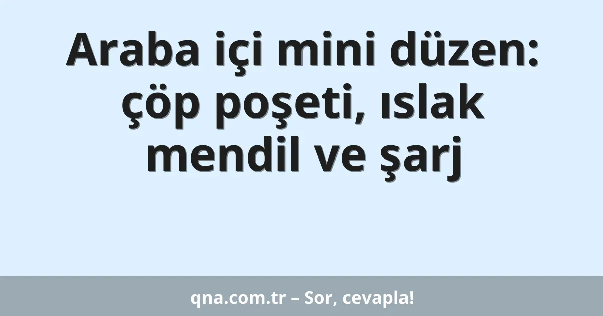 Araba içi mini düzen: çöp poşeti, ıslak mendil ve şarj