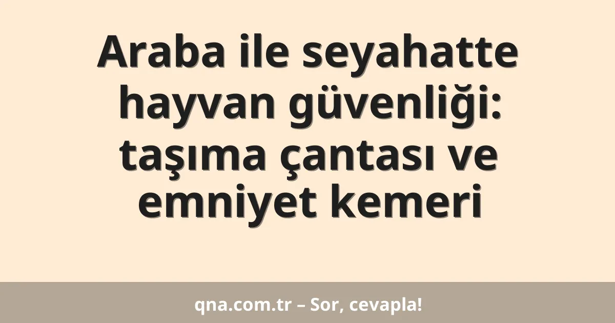 Araba ile seyahatte hayvan güvenliği: taşıma çantası ve emniyet kemeri