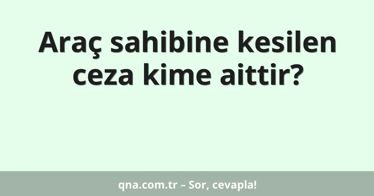 Araç sahibine kesilen ceza kime aittir?