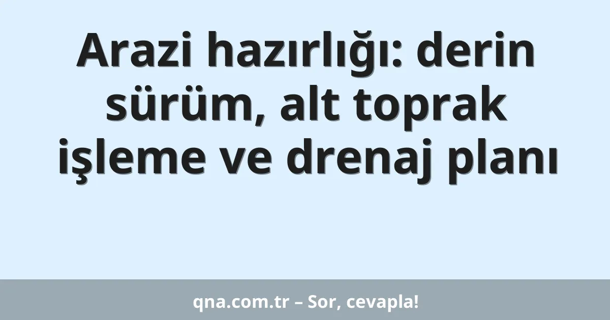 Arazi hazırlığı: derin sürüm, alt toprak işleme ve drenaj planı