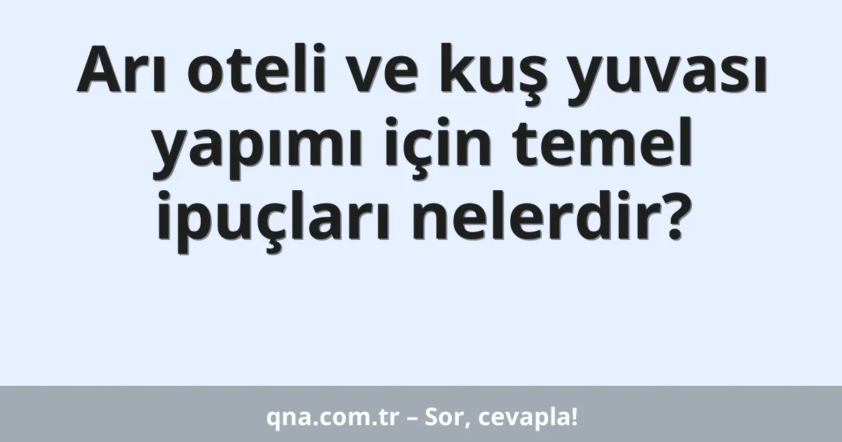 Arı oteli ve kuş yuvası yapımı için temel ipuçları nelerdir?