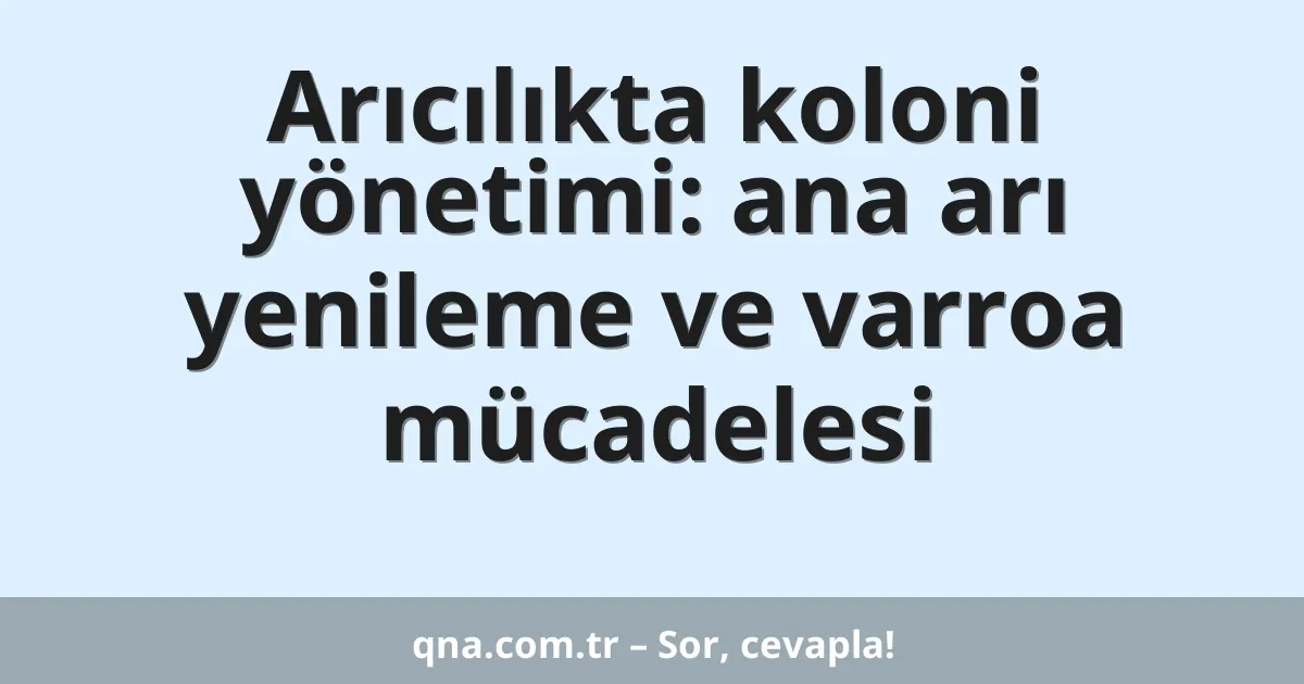 Arıcılıkta koloni yönetimi: ana arı yenileme ve varroa mücadelesi