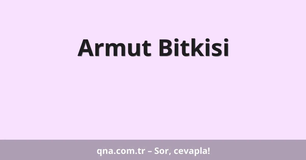 Armut Bitkisi