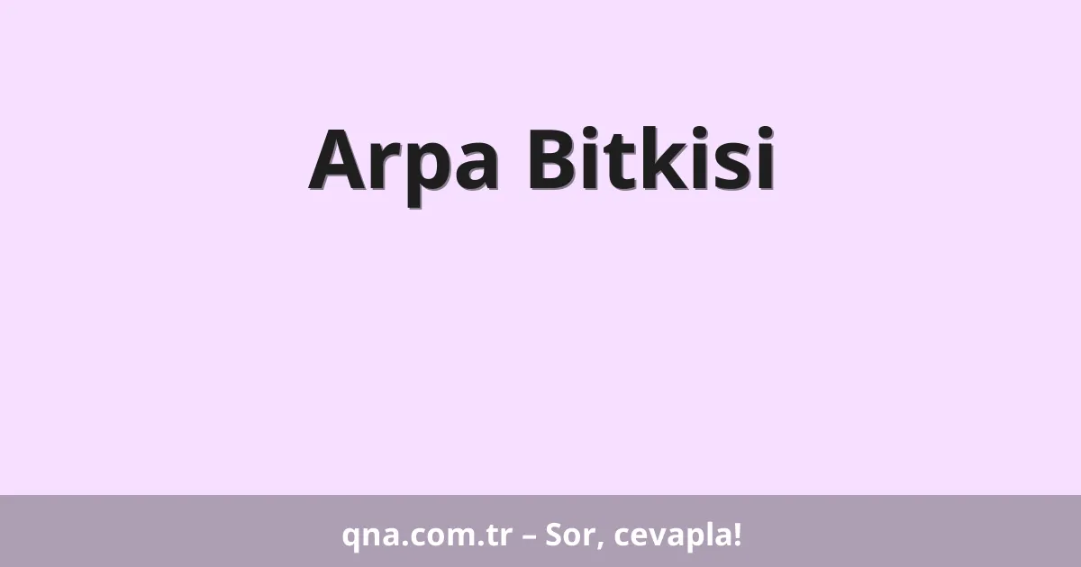 Arpa Bitkisi