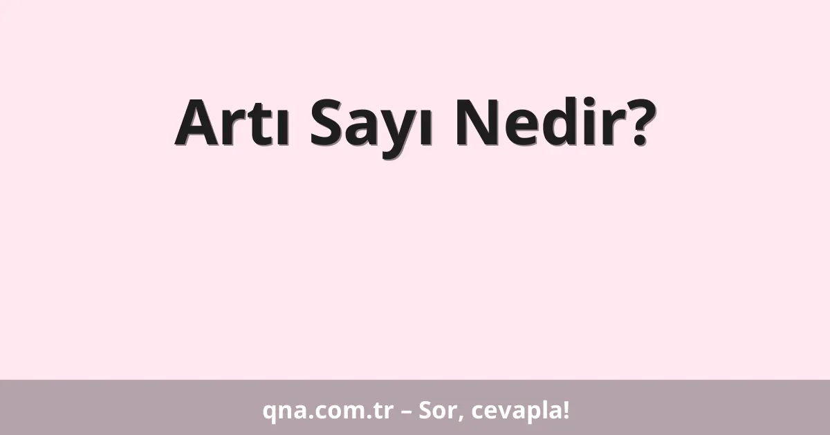 Artı Sayı Nedir?