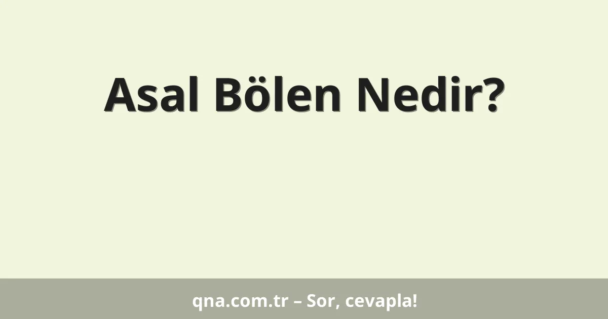 Asal Bölen Nedir?