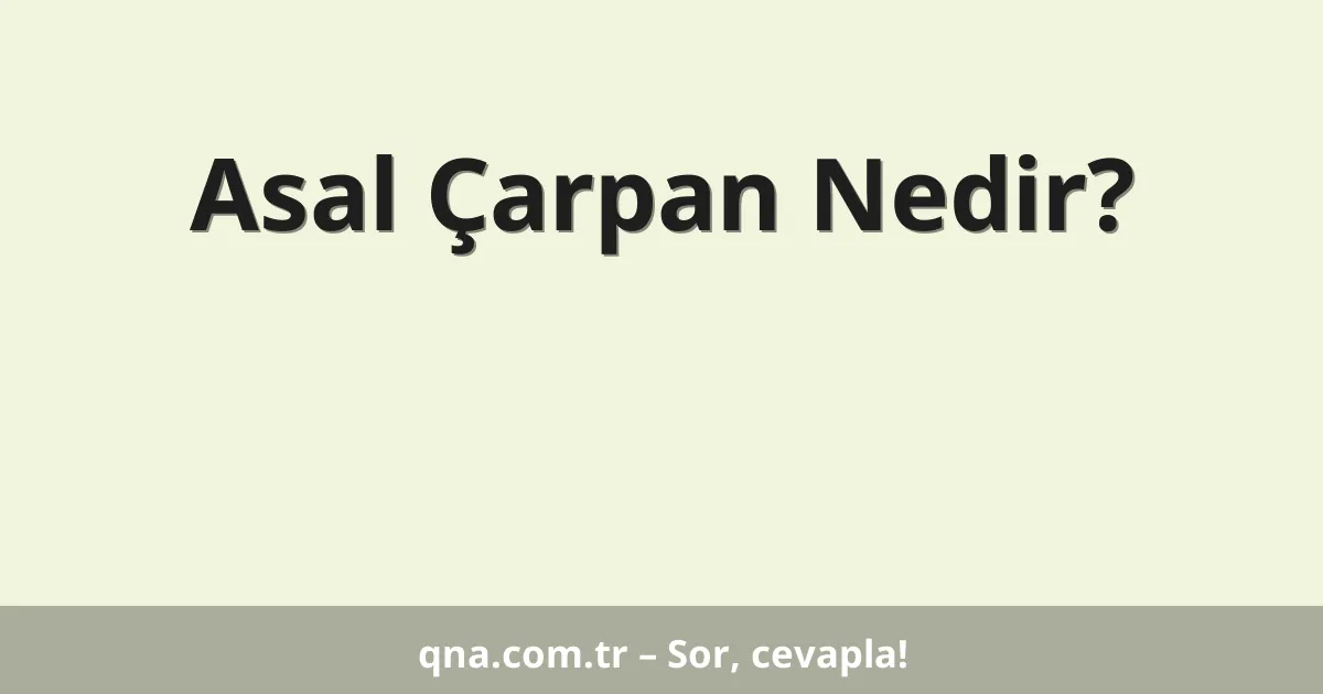 Asal Çarpan Nedir?