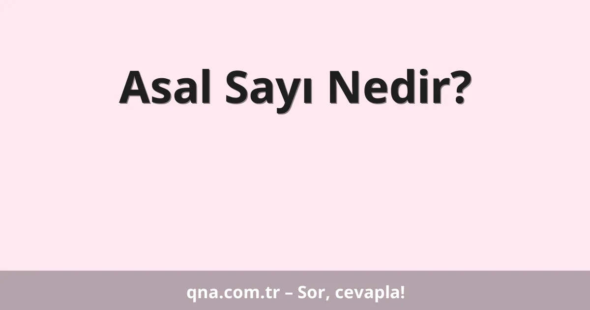 Asal Sayı Nedir?