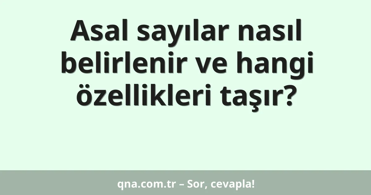 Asal sayılar nasıl belirlenir ve hangi özellikleri taşır?