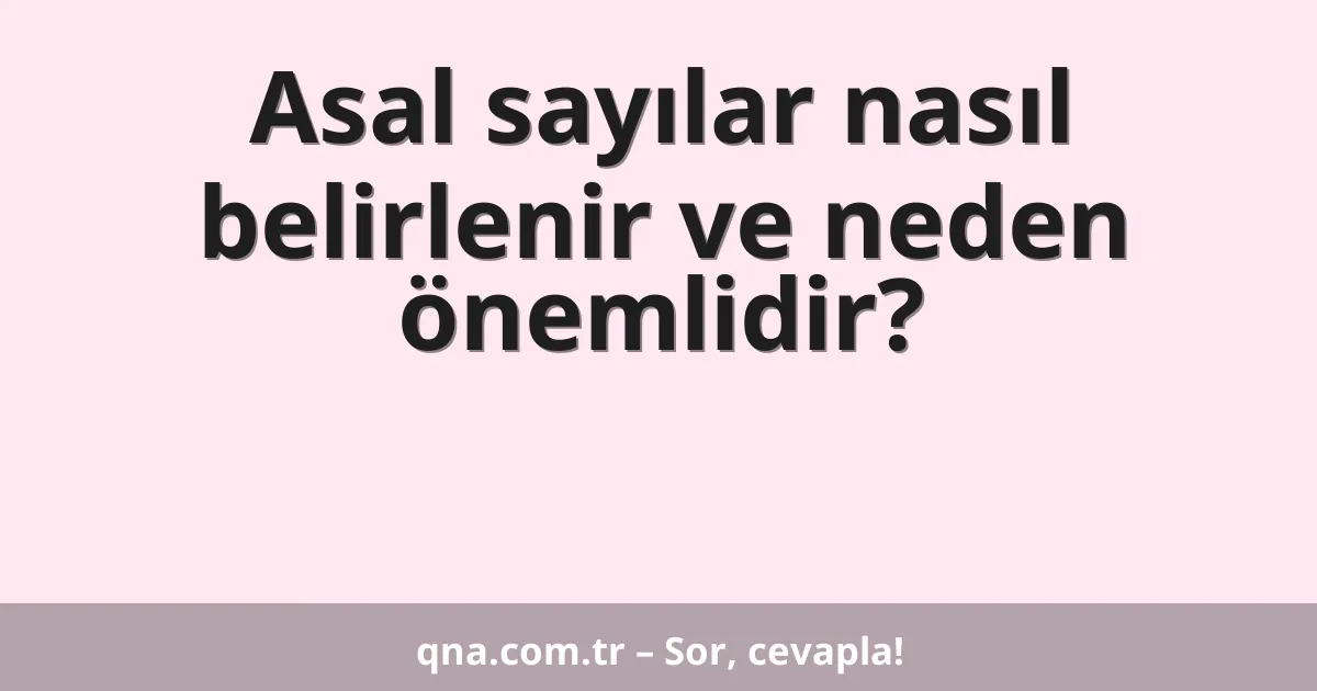 Asal sayılar nasıl belirlenir ve neden önemlidir?