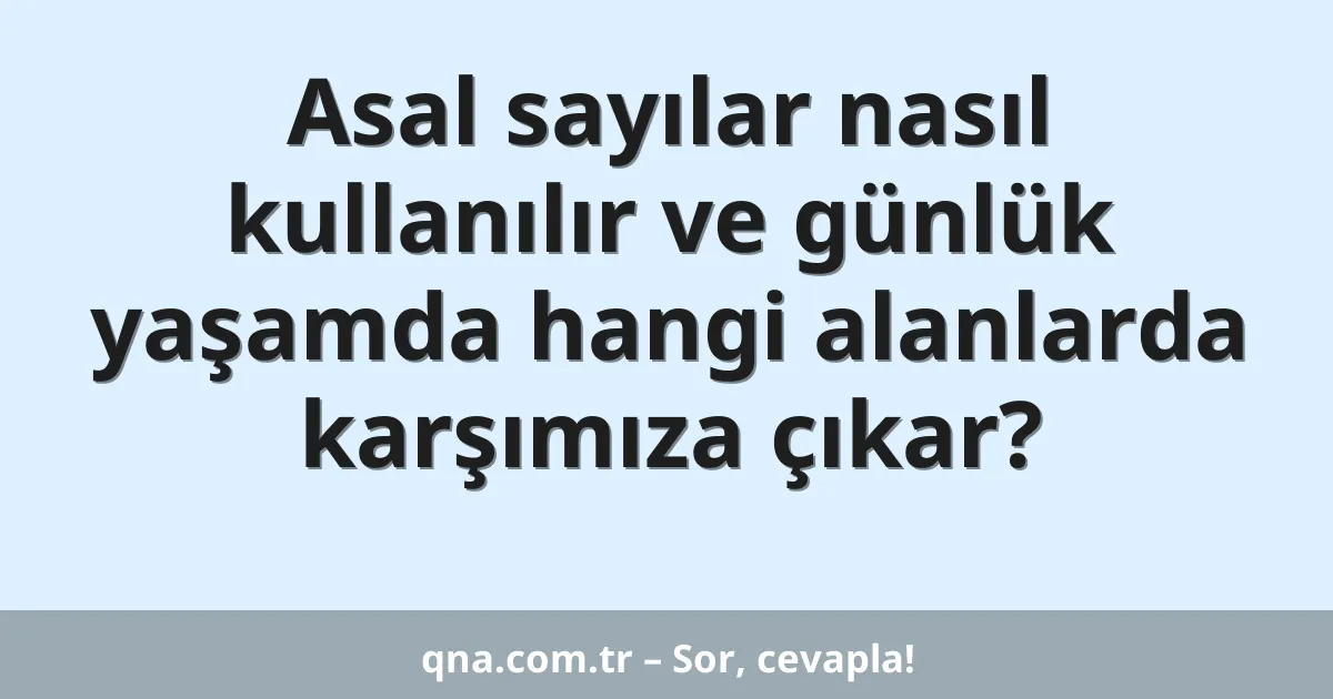 Asal sayılar nasıl kullanılır ve günlük yaşamda hangi alanlarda karşımıza çıkar?