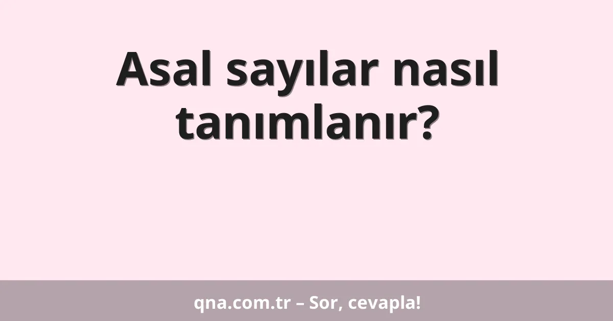 Asal sayılar nasıl tanımlanır?