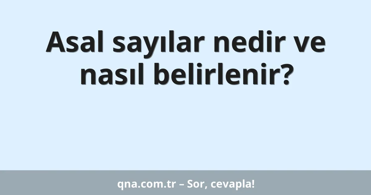 Asal sayılar nedir ve nasıl belirlenir?