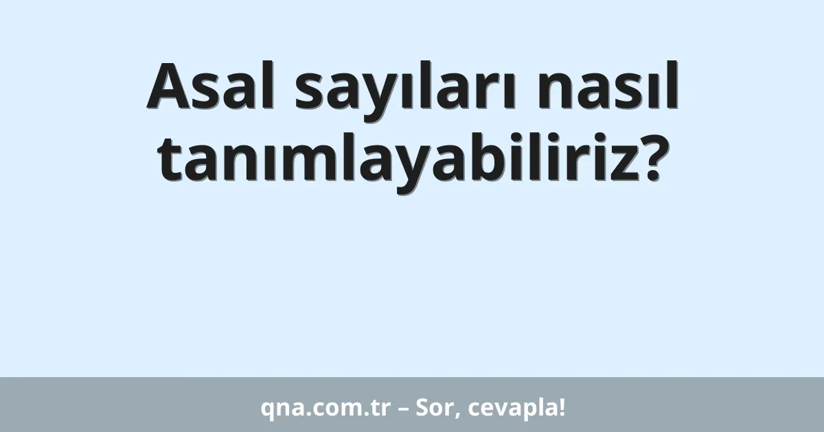 Asal sayıları nasıl tanımlayabiliriz?