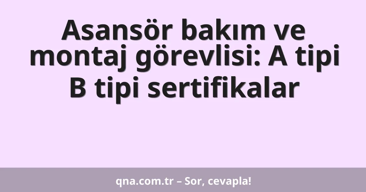 Asansör bakım ve montaj görevlisi: A tipi B tipi sertifikalar