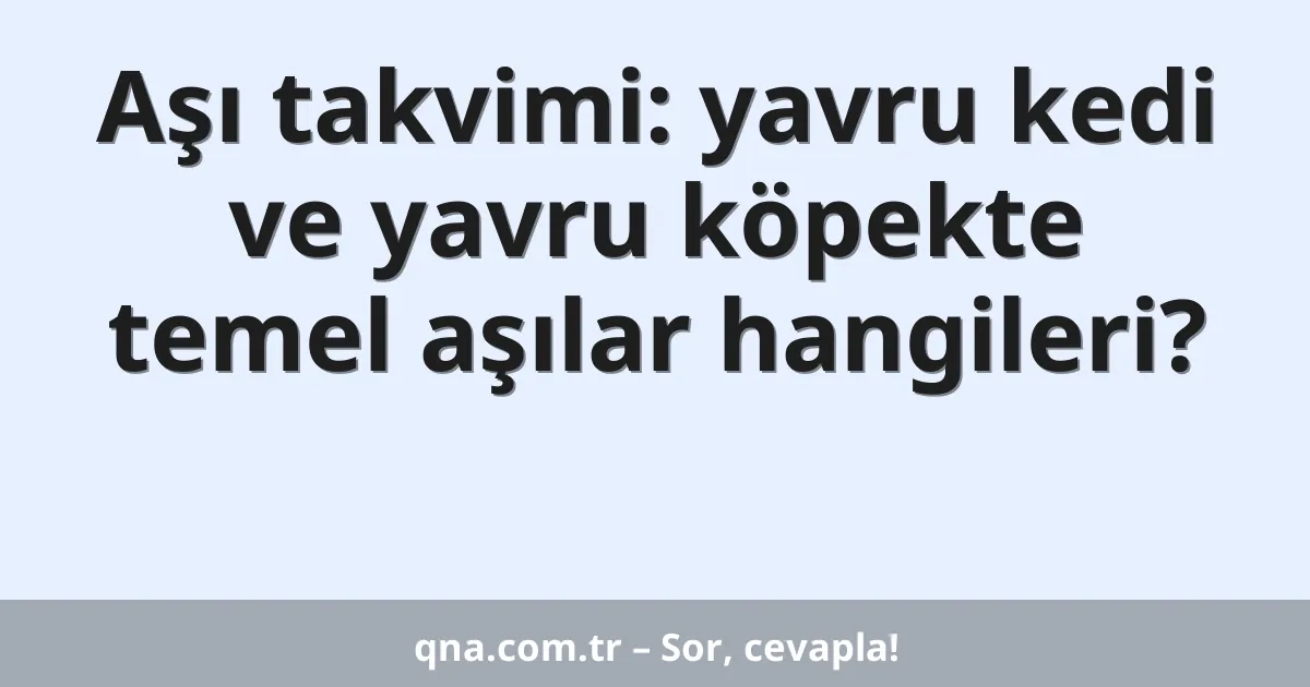 Aşı takvimi: yavru kedi ve yavru köpekte temel aşılar hangileri?