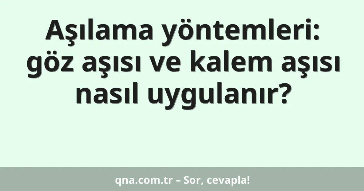 Aşılama yöntemleri: göz aşısı ve kalem aşısı nasıl uygulanır?