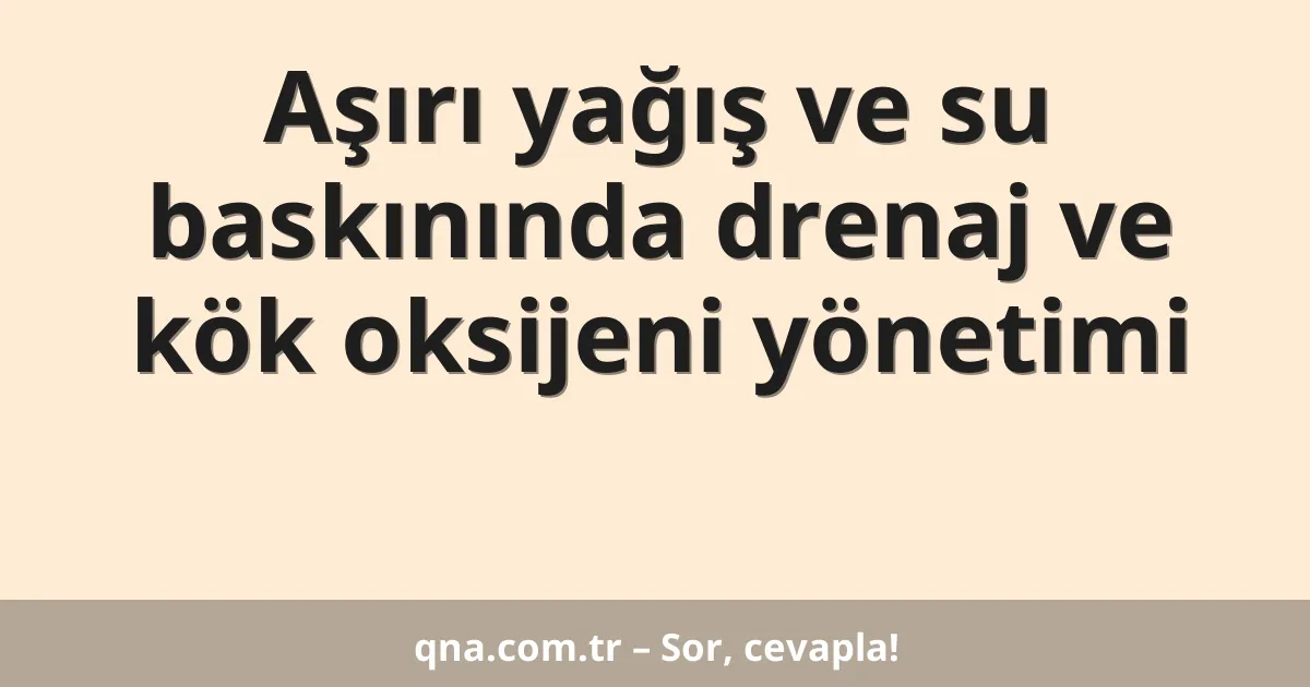 Aşırı yağış ve su baskınında drenaj ve kök oksijeni yönetimi