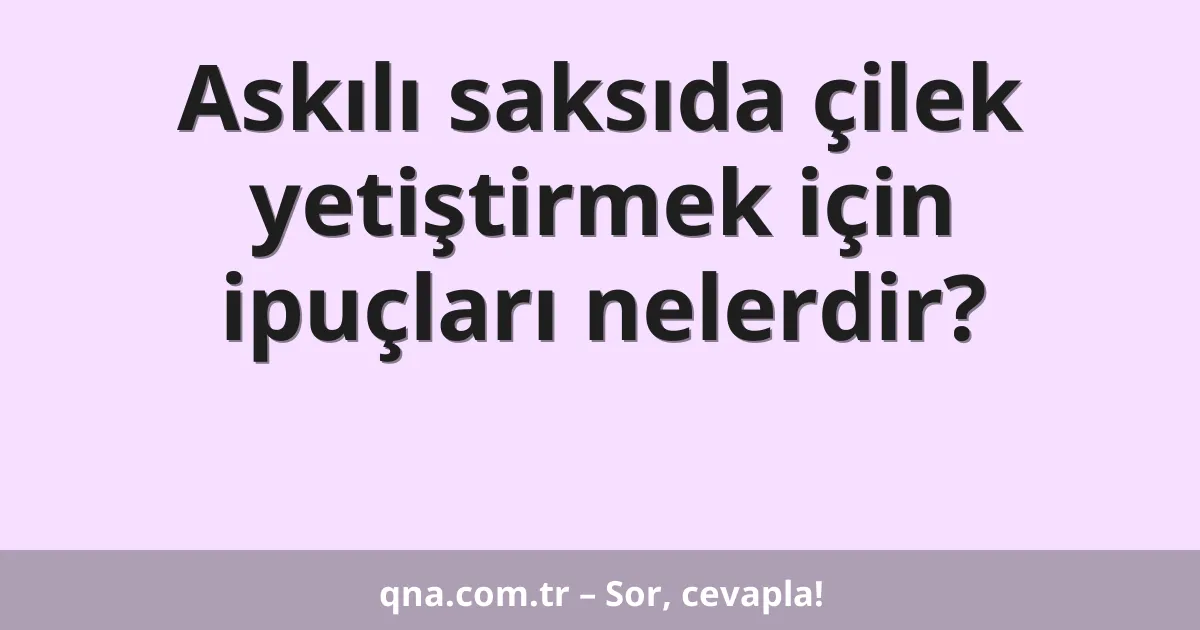 Askılı saksıda çilek yetiştirmek için ipuçları nelerdir?