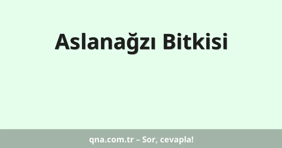 Aslanağzı Bitkisi