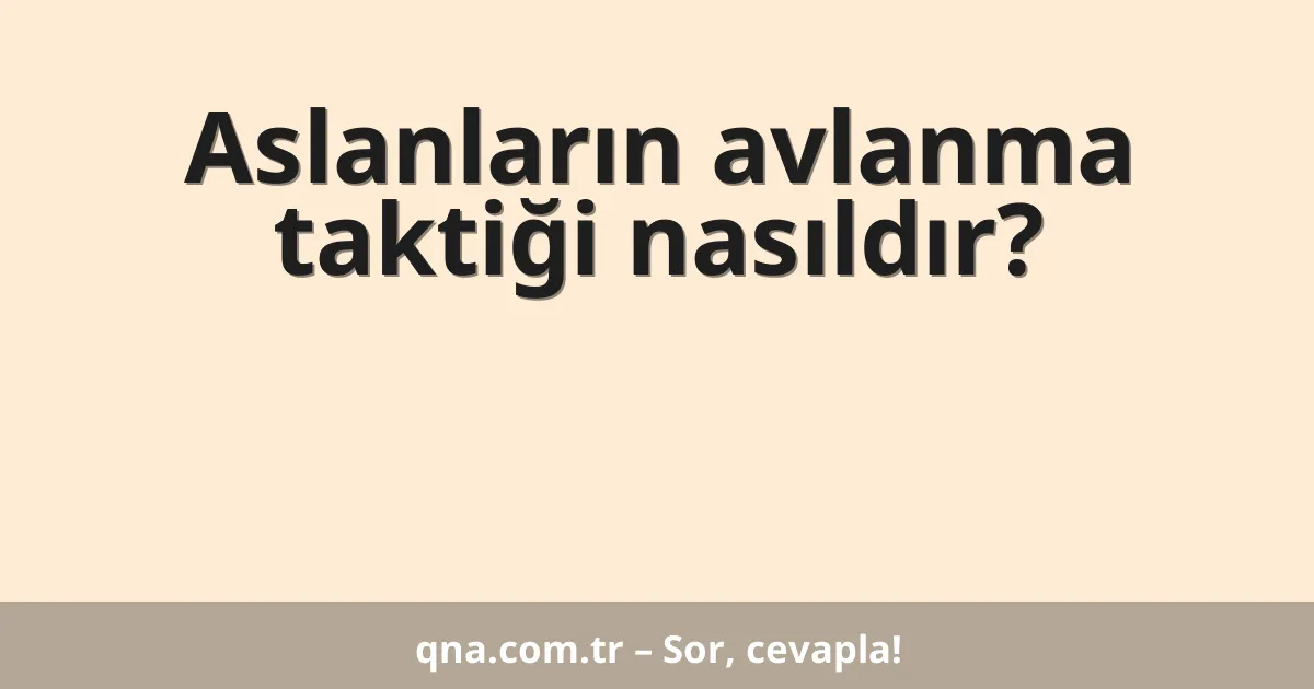 Aslanların avlanma taktiği nasıldır?