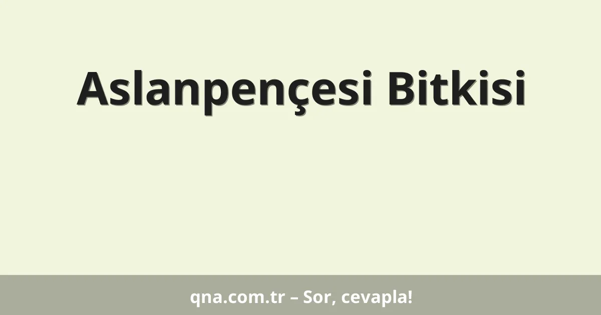 Aslanpençesi Bitkisi