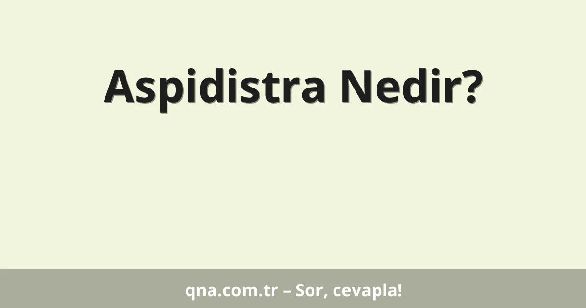 Aspidistra Nedir?