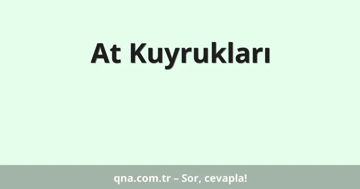 At Kuyrukları