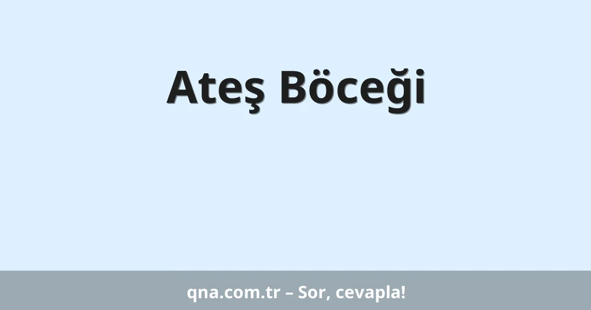 Ateş Böceği