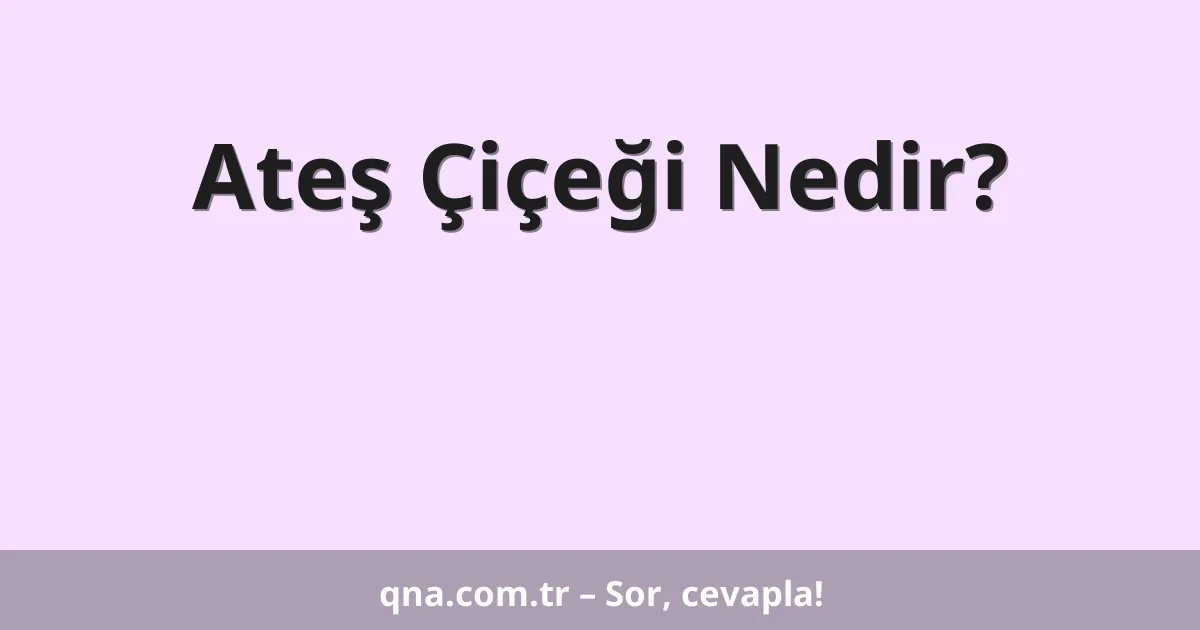Ateş Çiçeği Nedir?