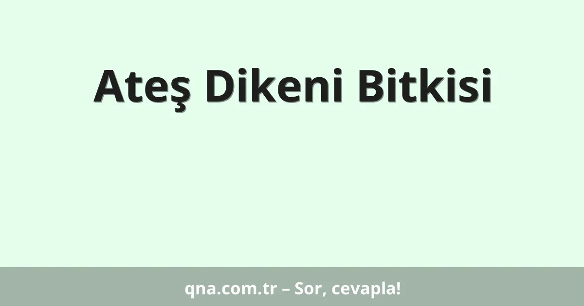 Ateş Dikeni Bitkisi