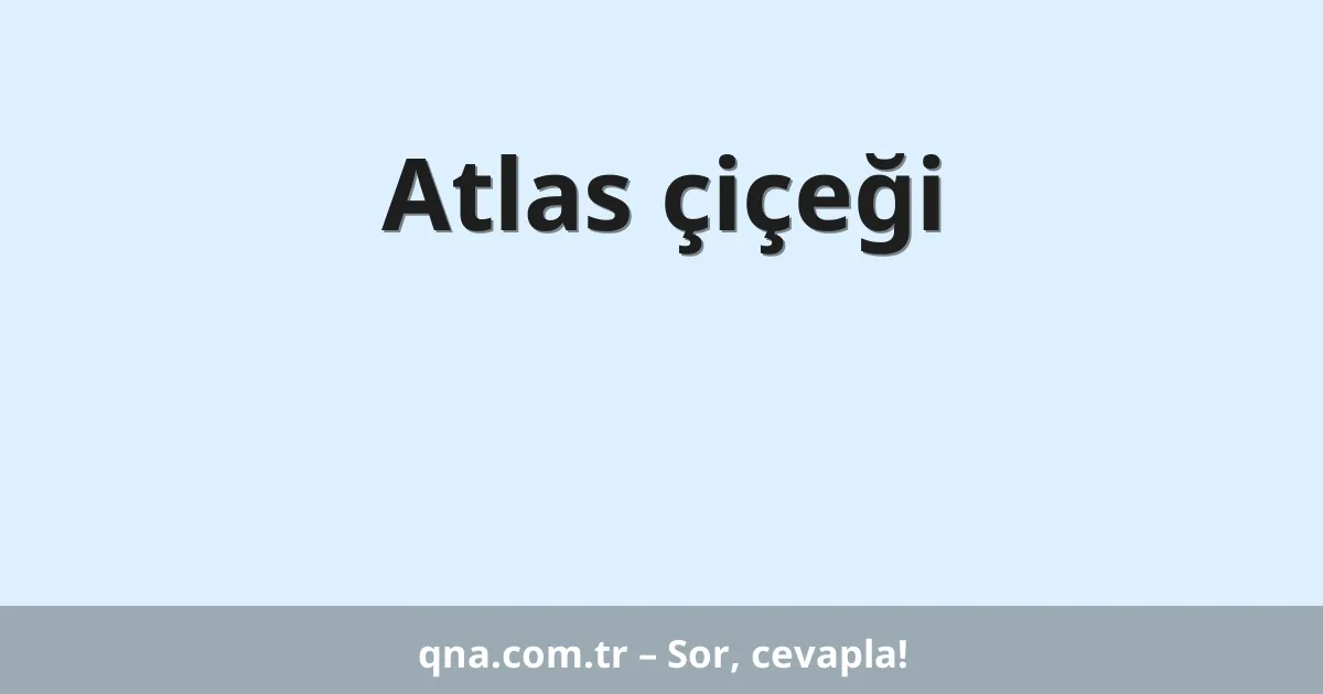 Atlas çiçeği