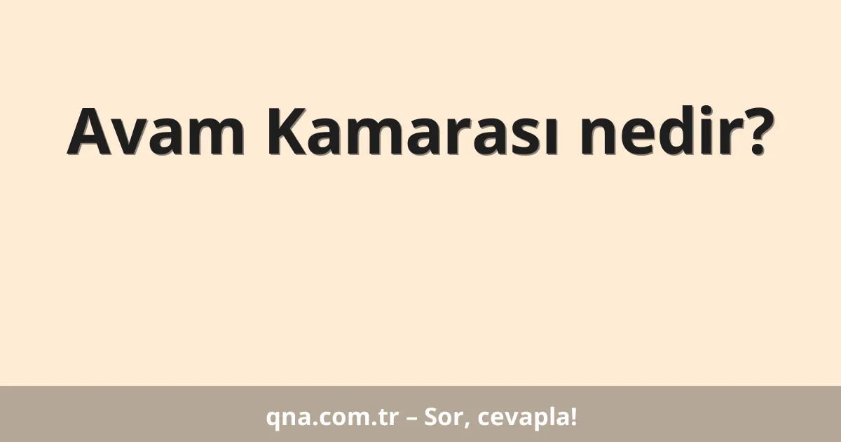 Avam Kamarası nedir?