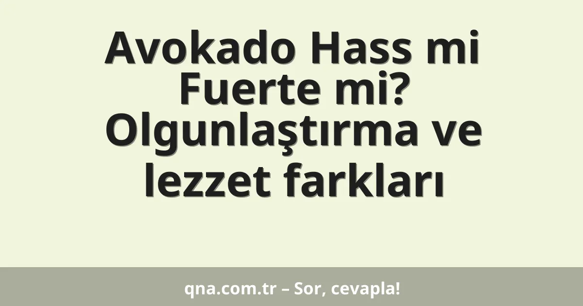 Avokado Hass mi Fuerte mi? Olgunlaştırma ve lezzet farkları
