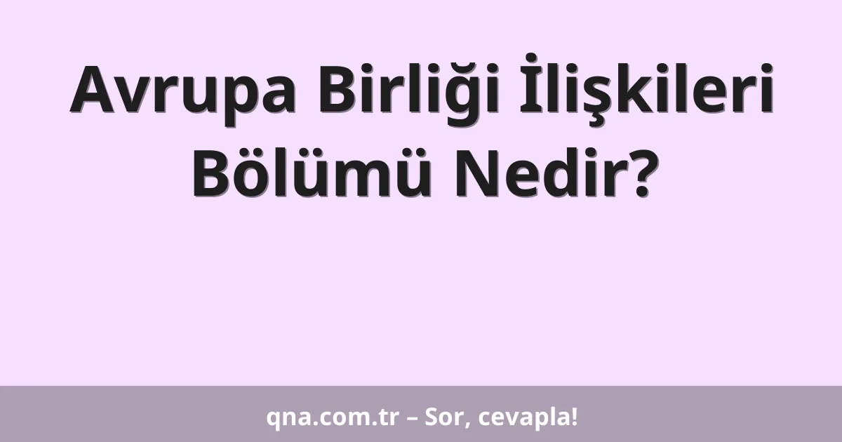 Avrupa Birliği İlişkileri Bölümü Nedir?