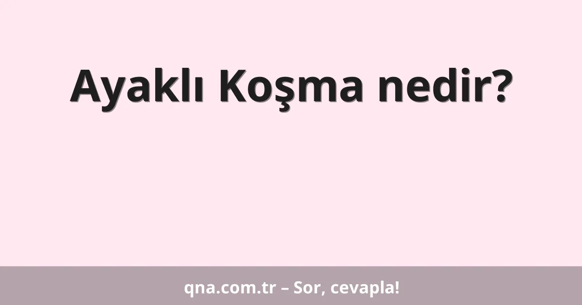 Ayaklı Koşma nedir?