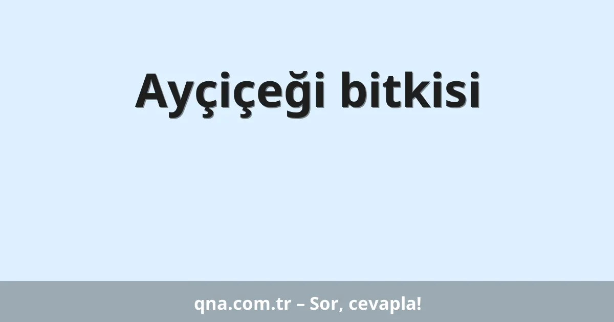 Ayçiçeği bitkisi