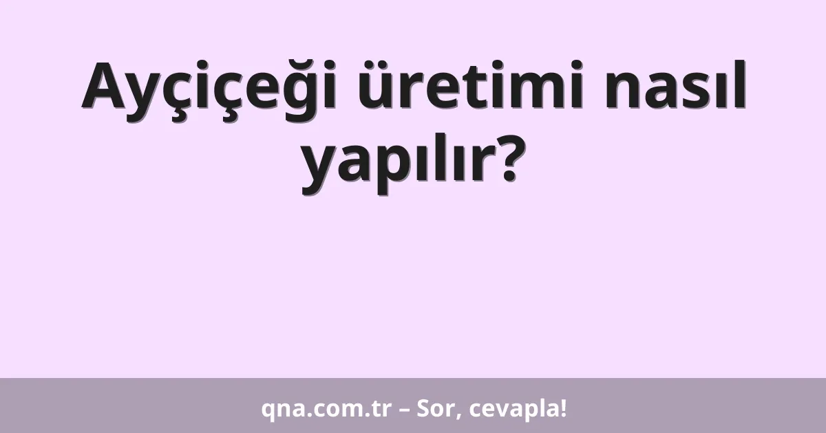 Ayçiçeği üretimi nasıl yapılır?