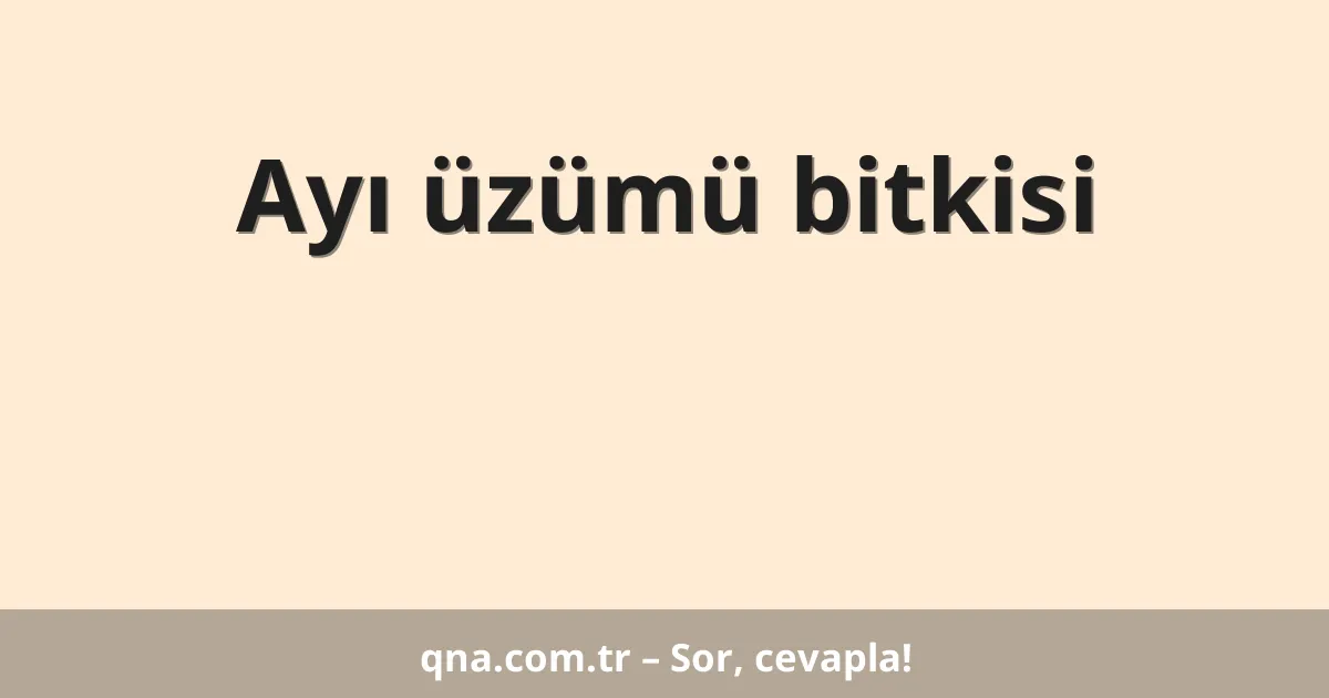 Ayı üzümü bitkisi