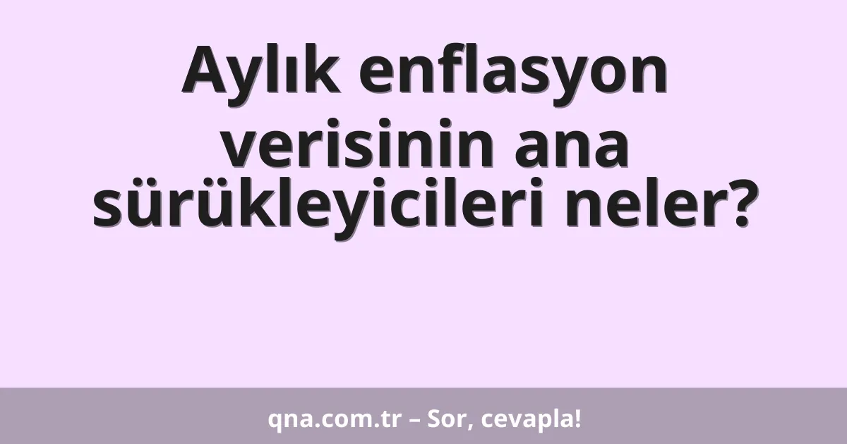 Aylık enflasyon verisinin ana sürükleyicileri neler?