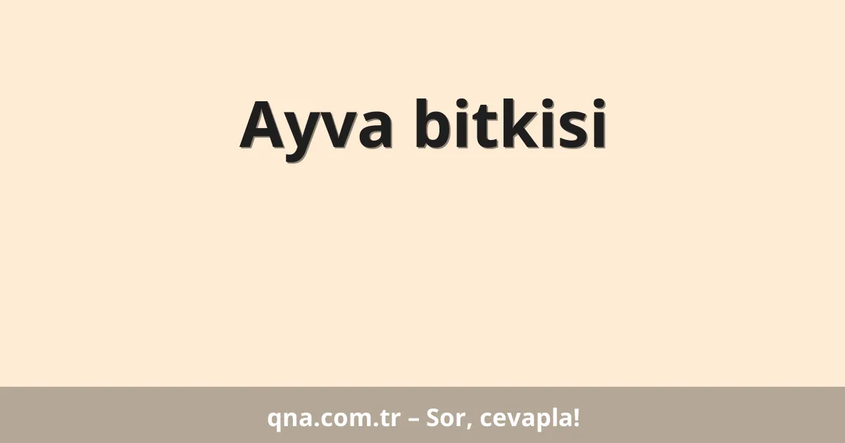 Ayva bitkisi